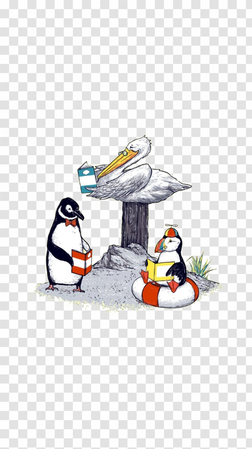 Penguin Seabird Illustration - Penguins And Seabirds Transparent PNG