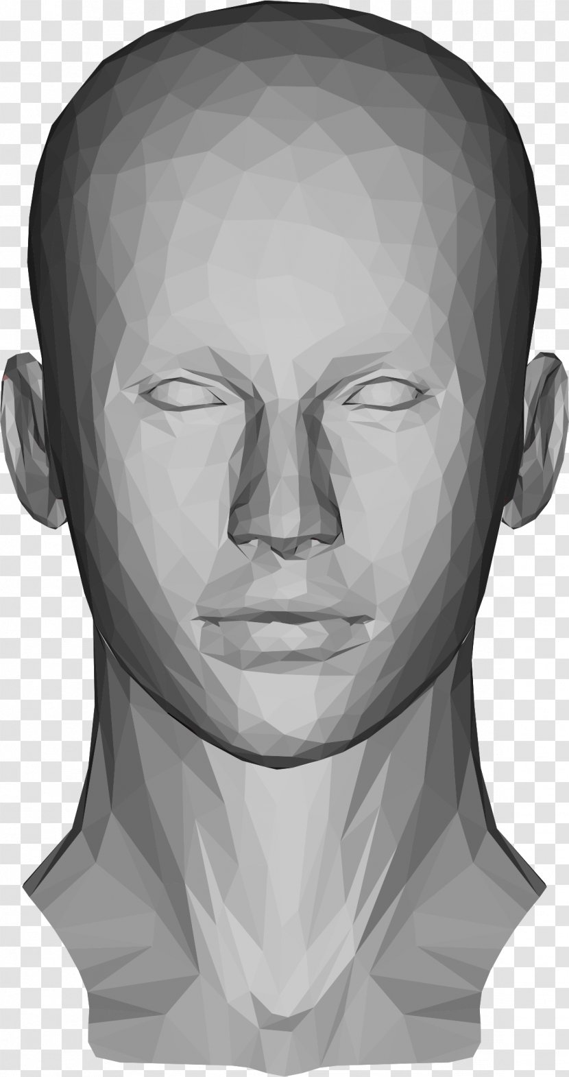 Human Head Low Poly - Monochrome Photography - 3d Computer Graphics Transparent PNG