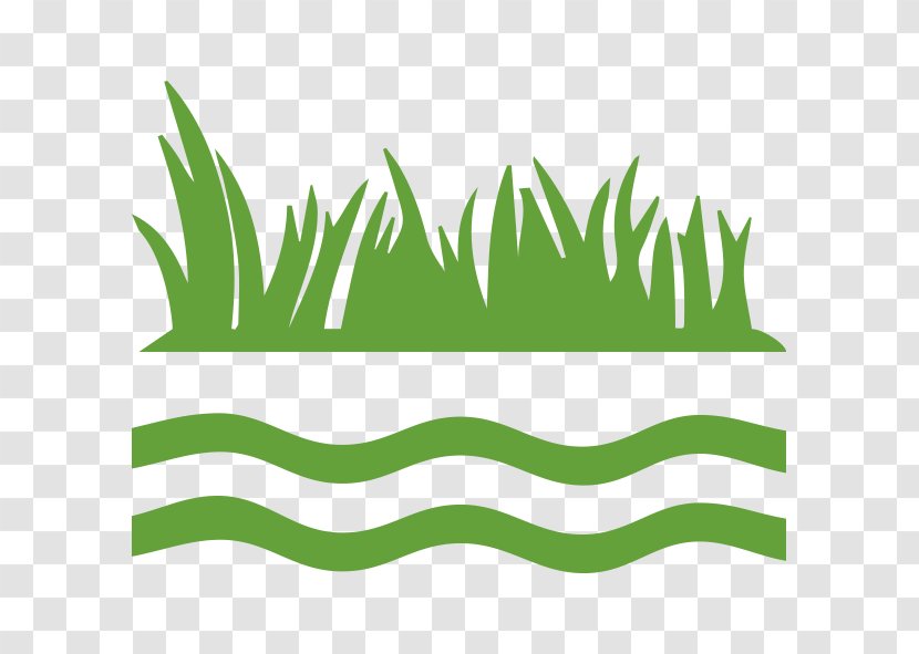 Clip Art Meadow Grasses Leaf Angle - Plant Stem - Lac Des Quatre Cantons Transparent PNG