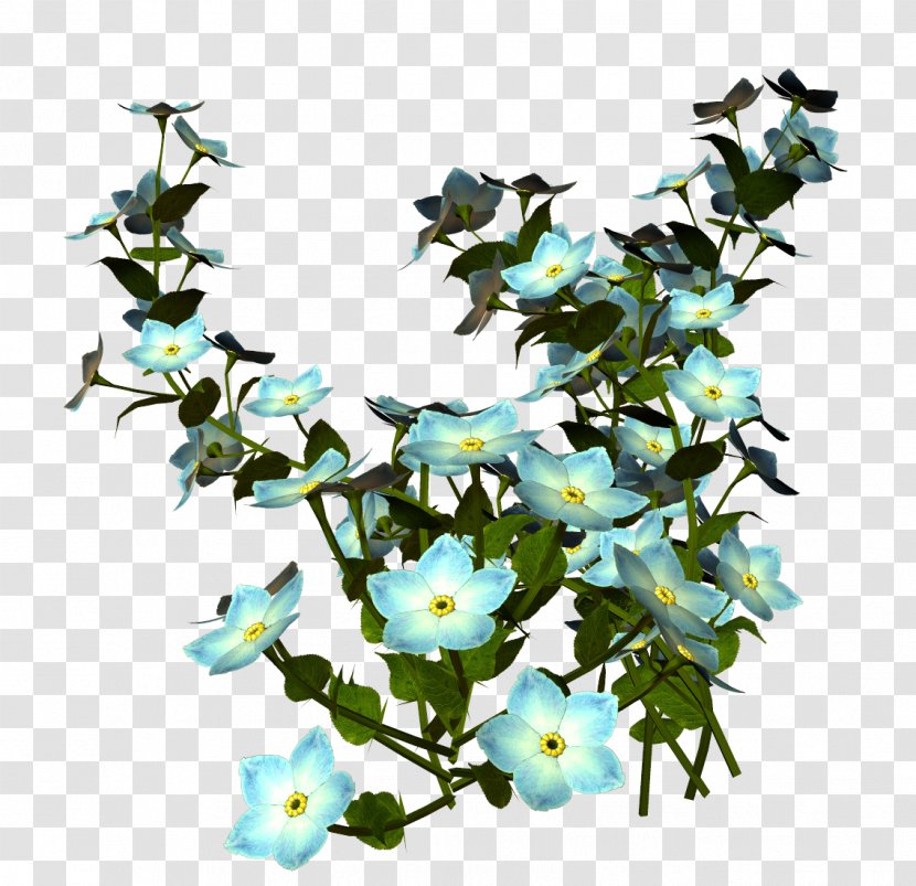 Flower Blue Rose Lilium Plant Stem - Turquoise - Natural Transparent PNG