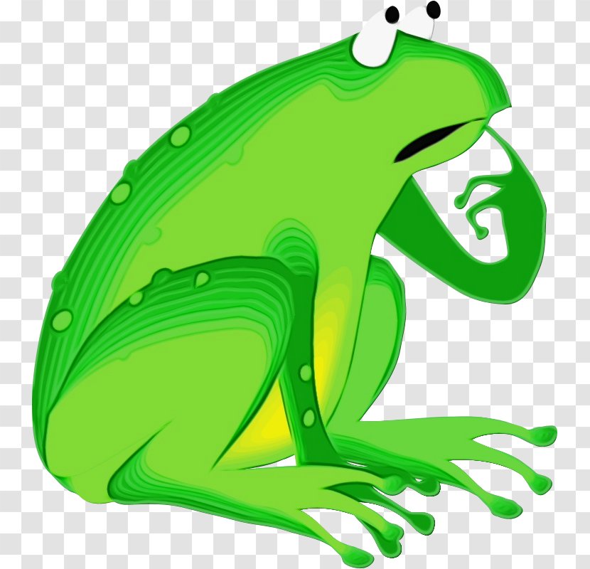 Green Hyla Frog Tree - Shrub Gray Treefrog Transparent PNG