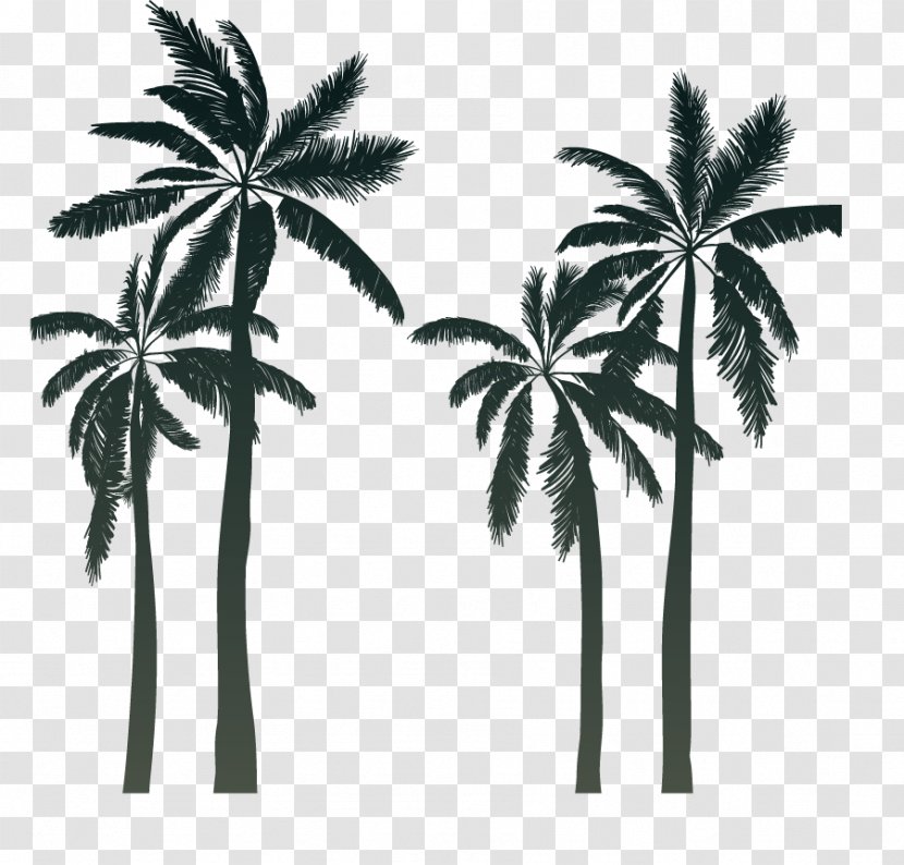 Silhouette Arecaceae Sunset Cartoon - Monochrome Photography - Palm Summer Transparent PNG