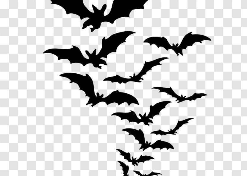 Bat Clip Art - Bats Transparent PNG