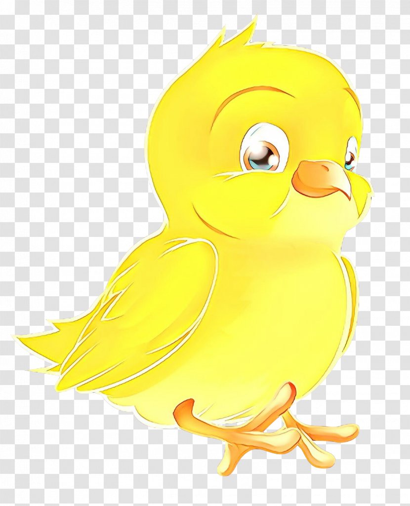 Duck Swans Goose Bird Beak - Rubber Ducky Transparent PNG