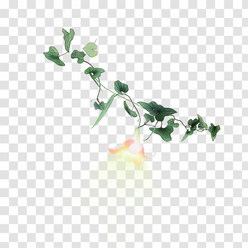 Black And White Flower - Insect - Ivy Flowering Plant Transparent PNG