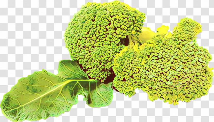 Broccoli Cruciferous Vegetables Leaf Vegetable Plant Flower - Cartoon - Wild Cabbage Food Transparent PNG