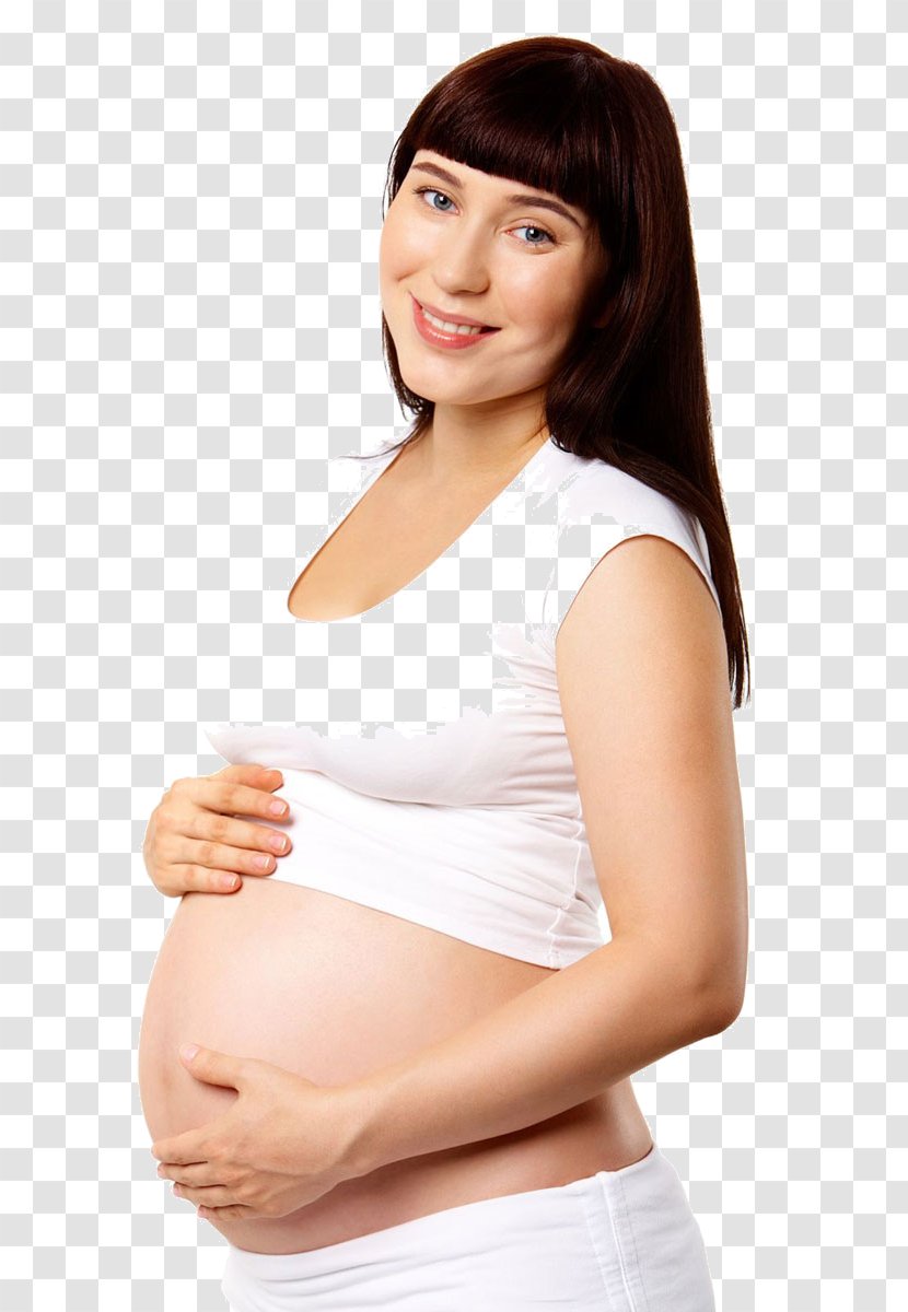 Stock Photography Royalty-free Pregnancy - Flower - Articles Transparent PNG