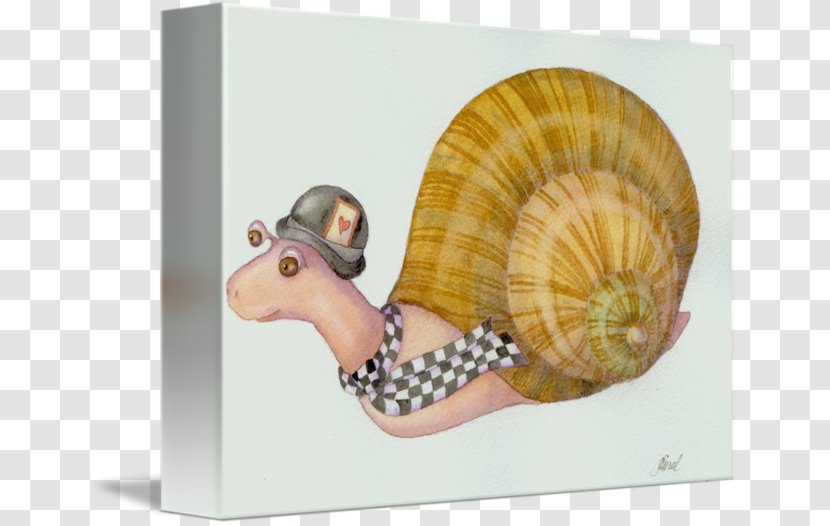Snail Nautiluses Seashell - Nautilida Transparent PNG