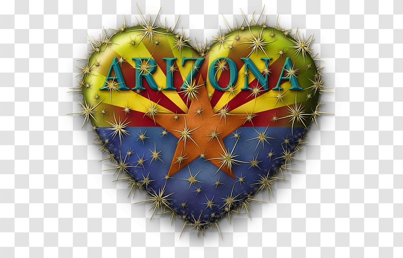 Organism Christmas Ornament Day - Arizona Cactus Laws Transparent PNG