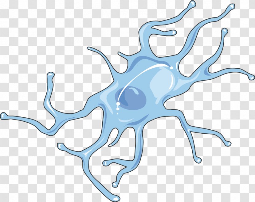 Microglia Nervous System Cell Tissue Biology - Watercolor - Brain Transparent PNG
