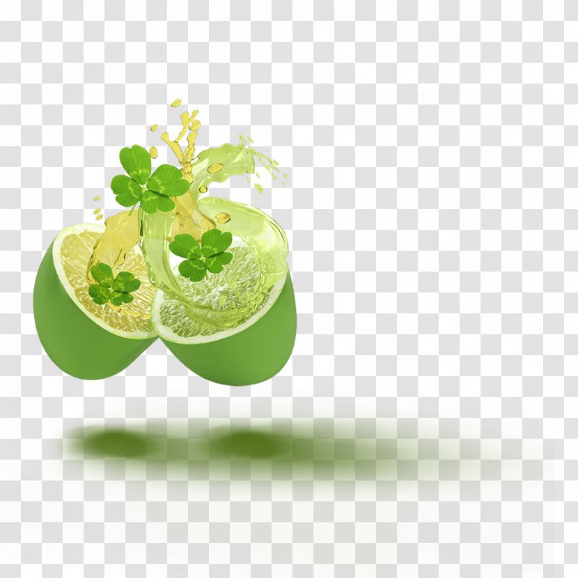 Lime Flavor The Jelly Belly Candy Company Bean - Superfood - Good Luck Transparent PNG