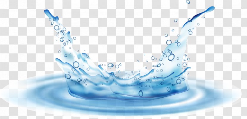 Water Drop - Tableware Transparent PNG