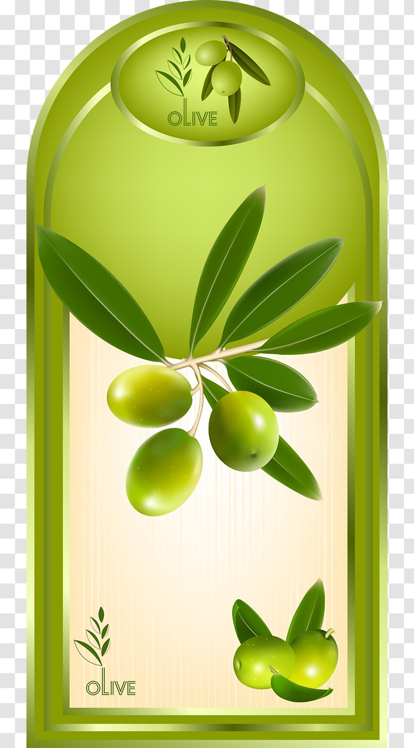 Olive Oil Label Fruit Transparent PNG