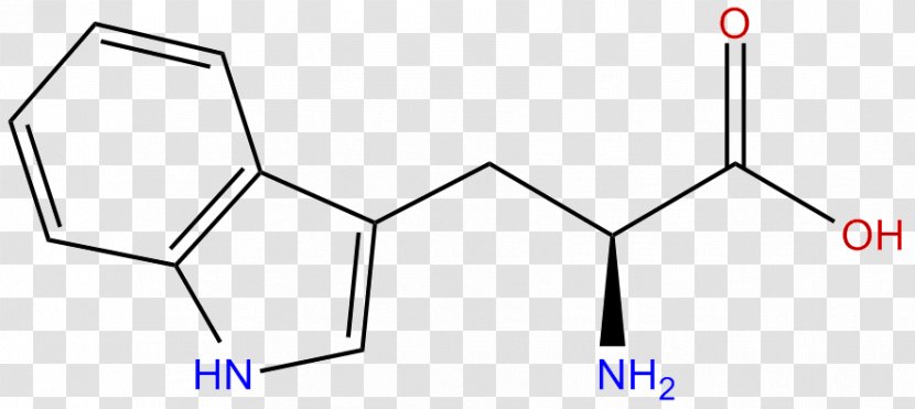 Tryptophan Amino Acid Serotonin Tyrosine - Triangle - Black And White Transparent PNG