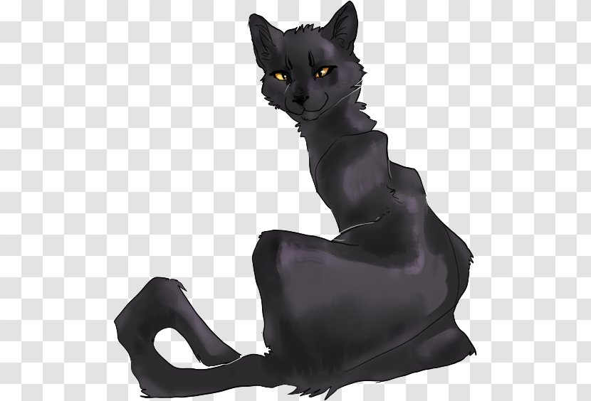 The Sun Trail Thunder Rising Black Cat Dawn Warriors - Shadowstar Transparent PNG