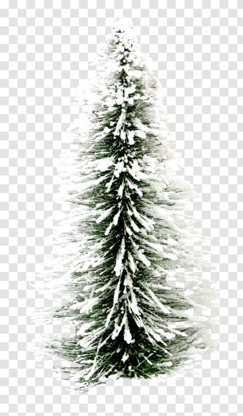Christmas Lights Desktop Wallpaper Display Resolution - Pine Family - Fir-tree Transparent PNG