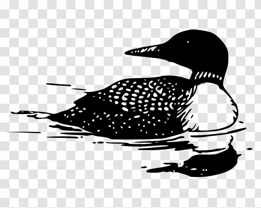 Common Loon Clip Art - Organism - Monochrome Photography Transparent PNG