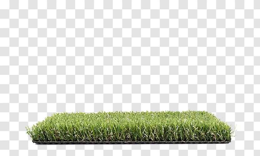 Allegro Lawn Artificial Turf Cupressus Proposal - Green Transparent PNG