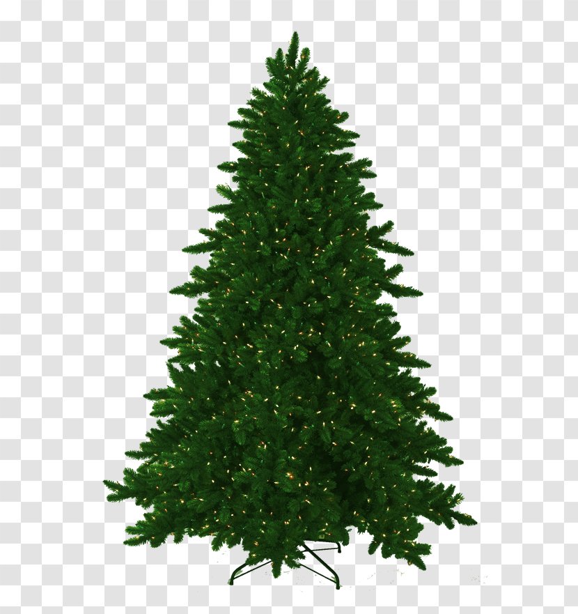 Artificial Christmas Tree Pine Fraser Fir - Family Transparent PNG