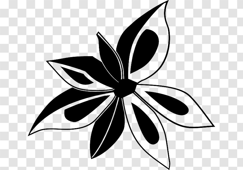 Star Anise Clip Art - Allspice - Clove Transparent PNG