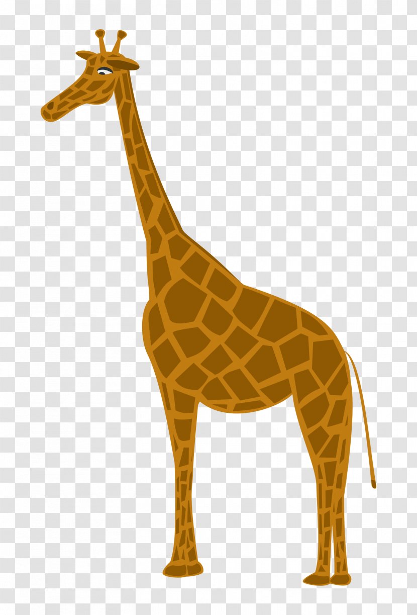 Northern Giraffe Deer Mammal Animal Clip Art - Wildlife Transparent PNG