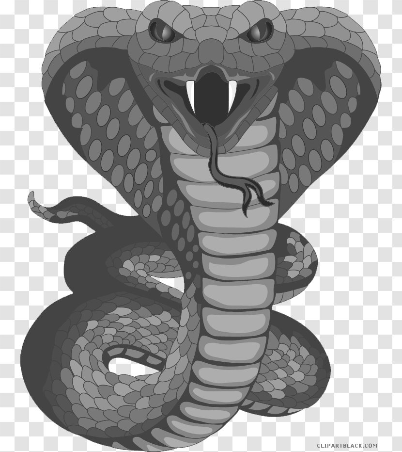Snakes Tattoo King Cobra Clip Art - Snake Transparent PNG