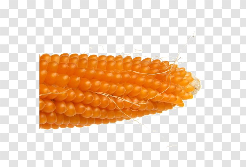 Corn On The Cob Maize Wotou - Orange - Golden Transparent PNG