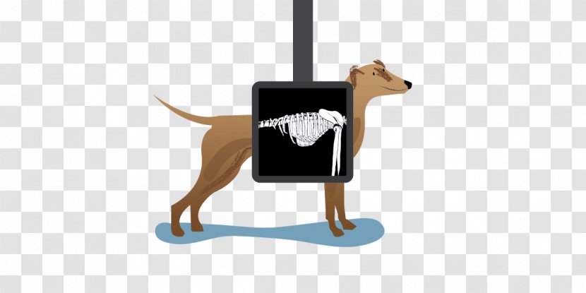 Puppy Dog Breed Leash Cartoon Transparent PNG