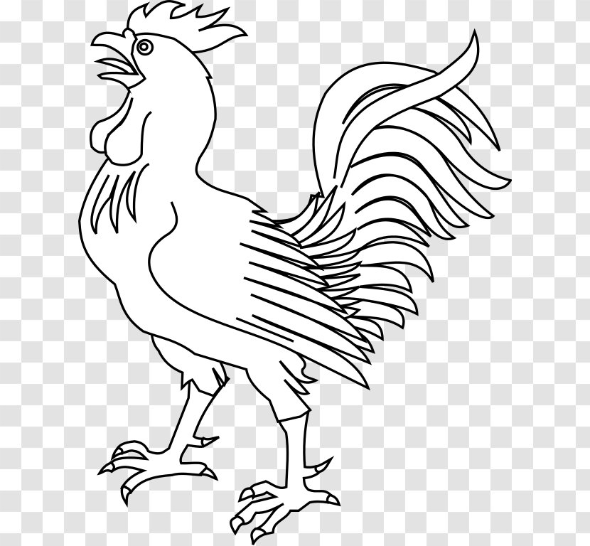 Rooster Drawing Chicken Clip Art - Line Transparent PNG