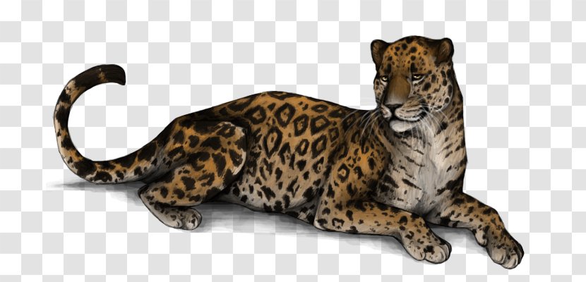 Leopard Jaguar Cheetah Whiskers Snout - Animal Figure - Open Arms Transparent PNG