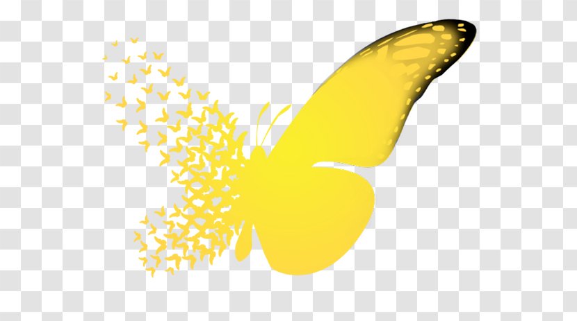 Butterfly Effect A Sound Of Thunder Chaos Theory Causality - Cartoon Transparent PNG