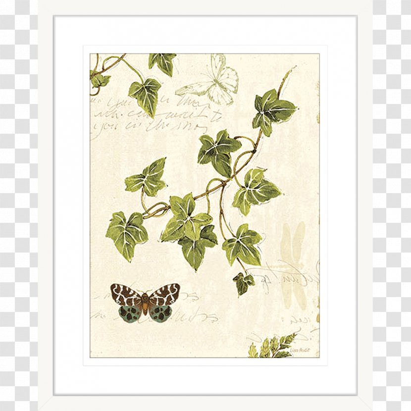 Art Painting Ivy Picture Frames Drawing - Branch Transparent PNG