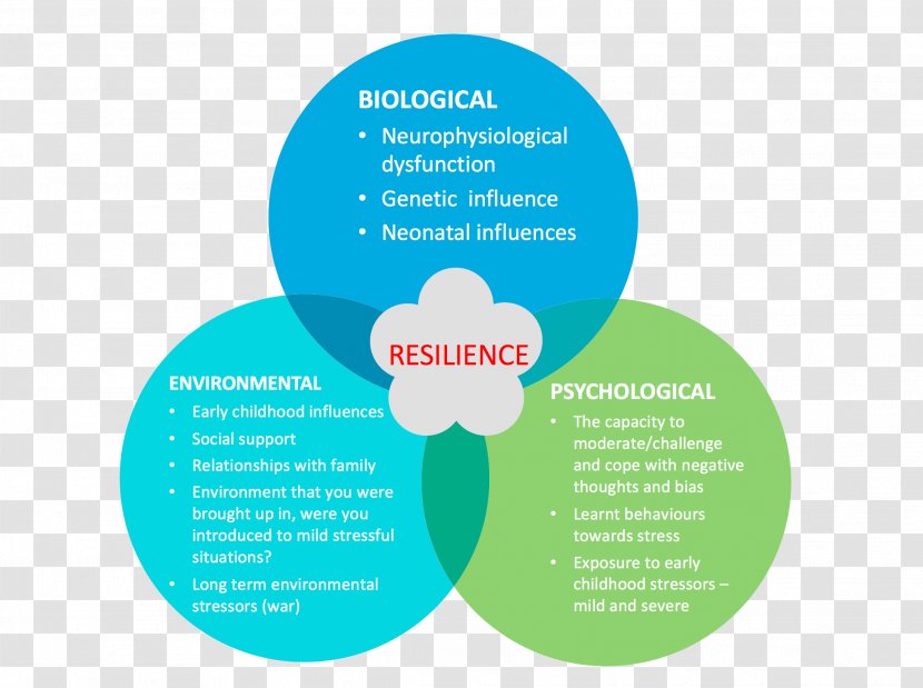 Mindset Psychology Venn Diagram Behavior Organization - John - Resilience Transparent PNG