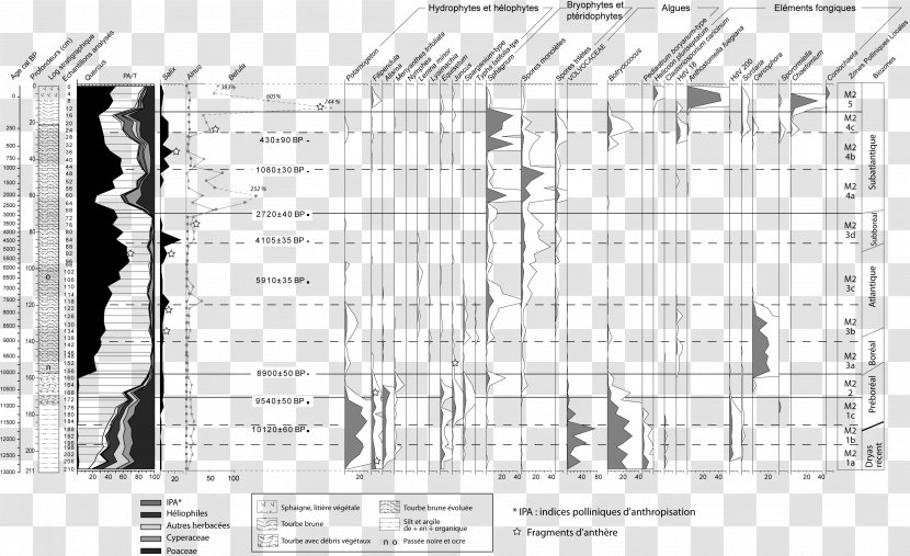 Diagram Paleoecology Drawing /m/02csf Architecture - Microfossile Transparent PNG