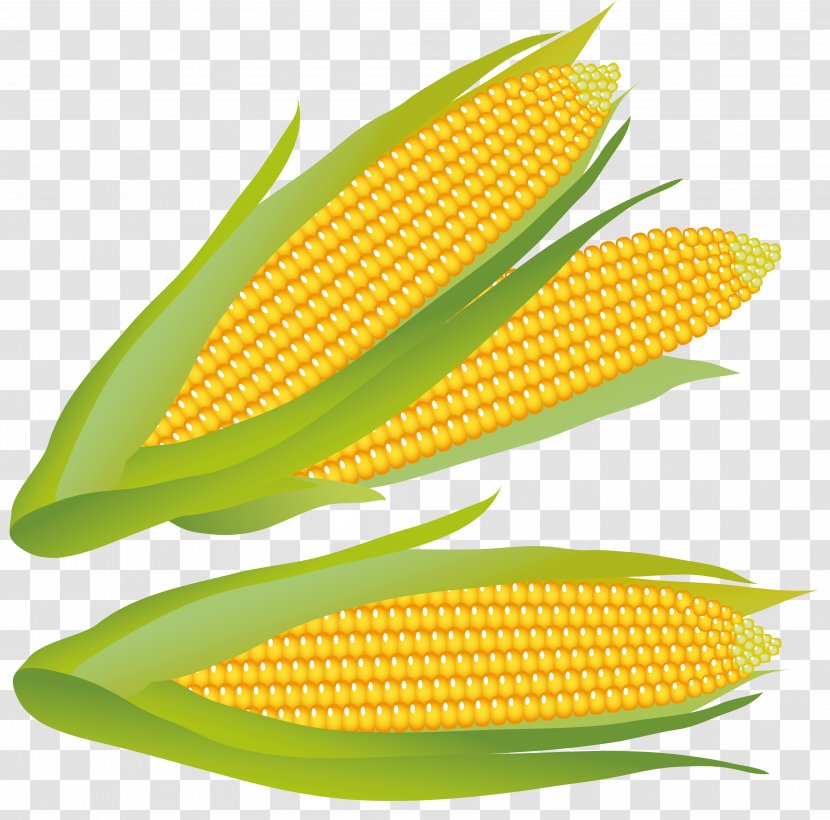Corn On The Cob Maize Sweet Clip Art - Commodity Transparent PNG