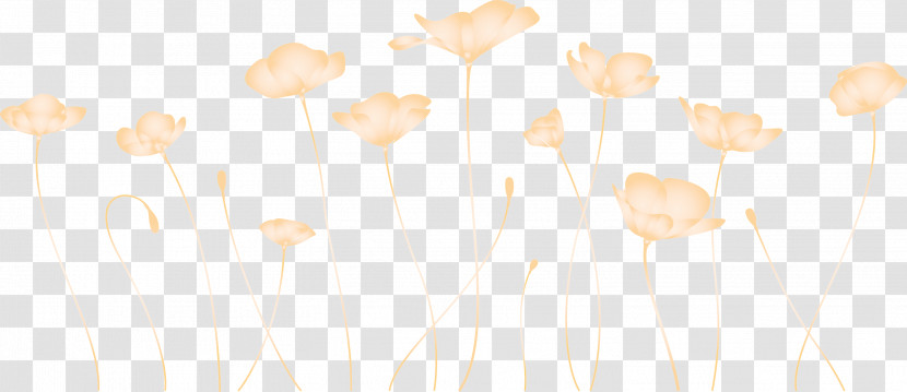 Poppy Flower Transparent PNG