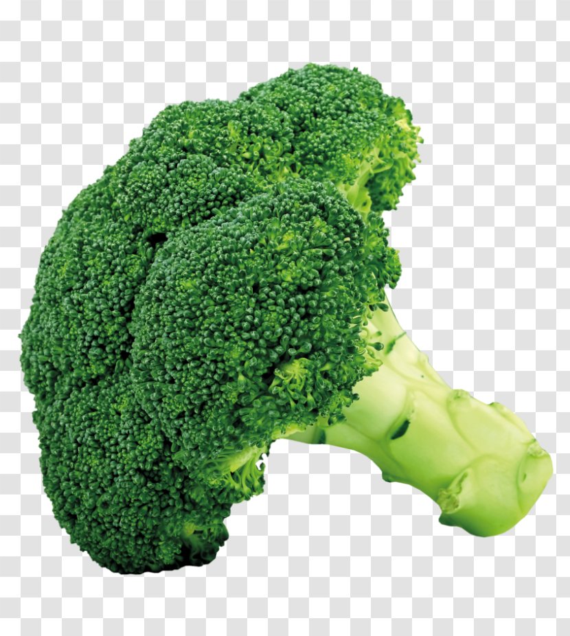 Broccoli Slaw Vegetable Clip Art - Brassica Oleracea Transparent PNG