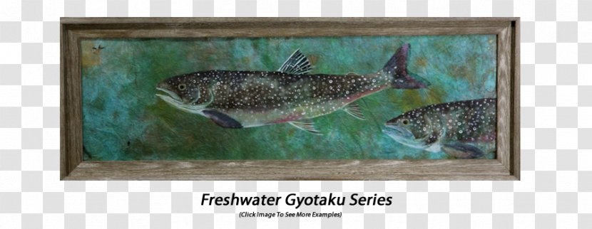 Painting Feather Fauna Ecosystem Picture Frames - Lake Trout Transparent PNG