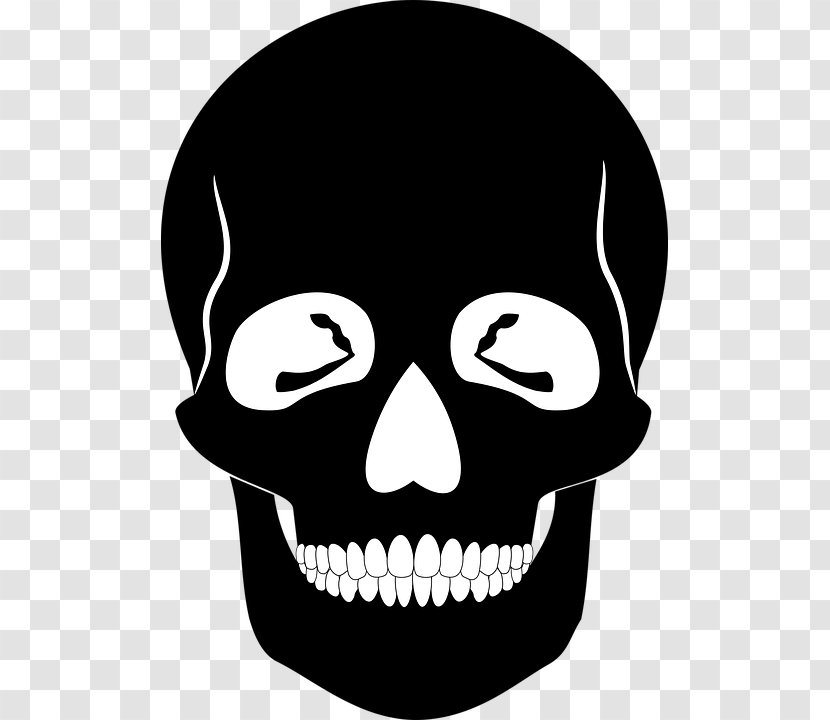 Skull Stencil Silhouette Human Skeleton - Head Transparent PNG