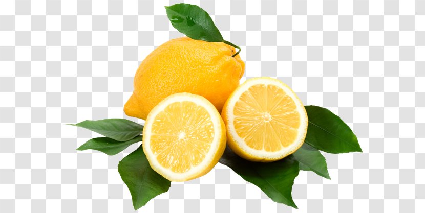 Lemon-lime Drink Lemonade Juice Rangpur - Lemon Transparent PNG