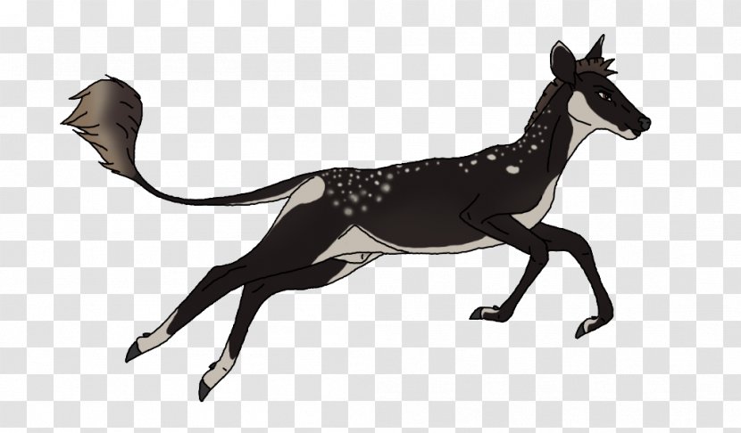 Mustang Dog Deer DeviantArt Birthday Transparent PNG