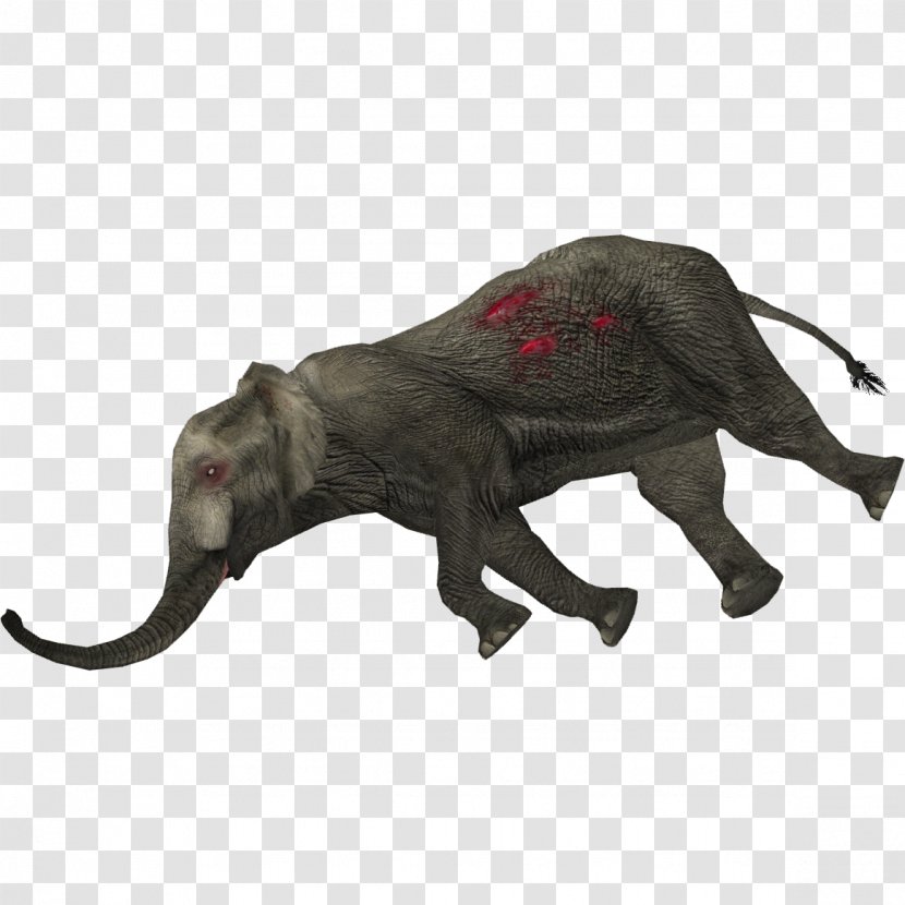 Indian Elephant African Wildlife Elephantidae - Animal - Deadanimal Transparent PNG