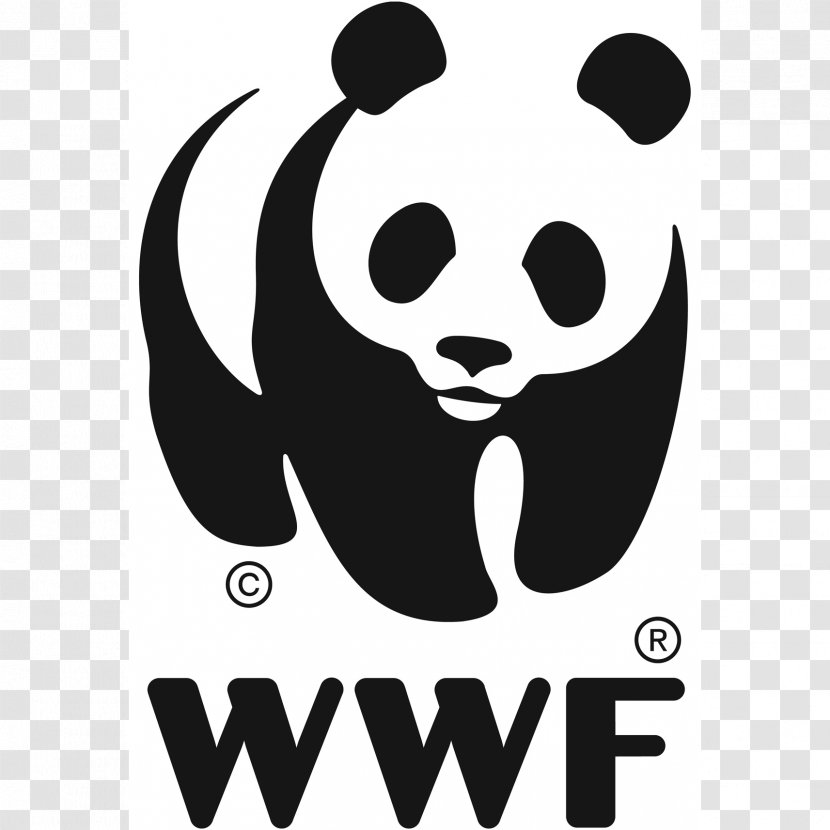 World Wide Fund For Nature WWF Madagascar Logo Conservation Adria - Sustainability - Dragon Nest Transparent PNG