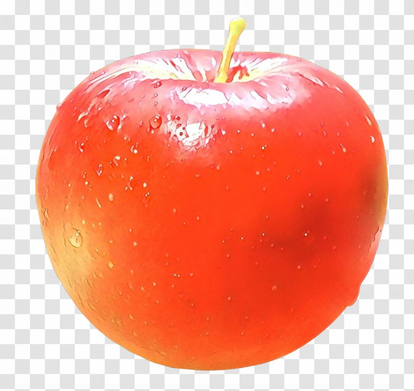 Orange - Cartoon - Accessory Fruit Superfood Transparent PNG