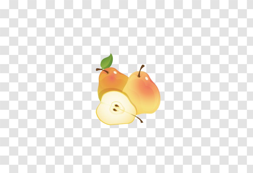 Sydney Opera House Pyrus Nivalis City Of - Fruit - Delicious Pear Transparent PNG