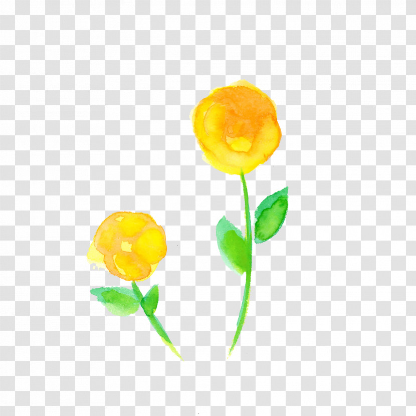 Yellow Flower Plant Petal Tulip Transparent PNG
