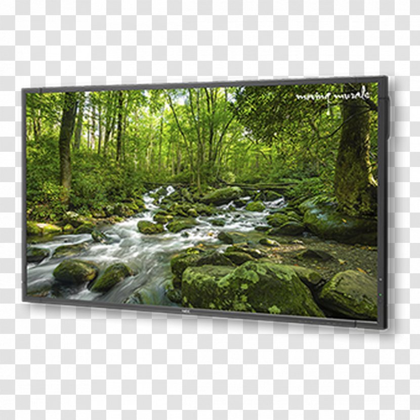Computer Monitors NEC MultiSync X1UHD 4K Resolution Display Solutions Digital Signage - Technology - Large-screen Transparent PNG