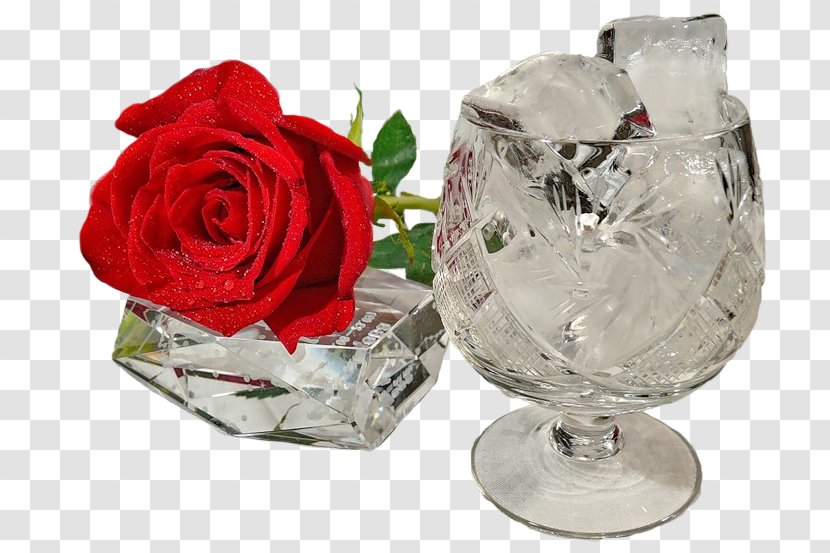 Wine Glass Cup Transparent PNG