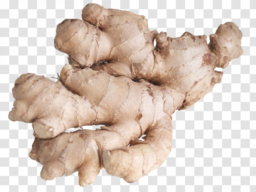 Ginger Tea Root Vegetables Spice Transparent PNG