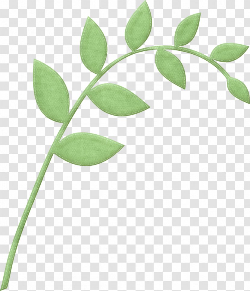 Tree Branch Silhouette - Flower - Pedicel Twig Transparent PNG